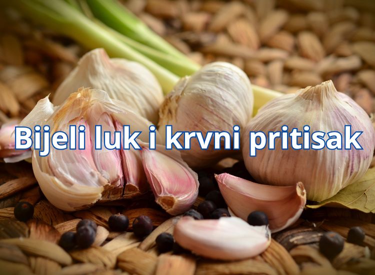 bijeli luk za pritisak bijeli luk i tlak