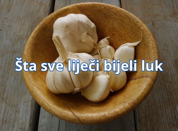sta sve lijeci bijeli luk ko ne smije jesti bijeli luk bijeli luk kako jesti bijeli luk da ne smrdi bijeli luk za pritisak bijeli luk i tlak bijeli luk koliko jesti dnevno sta sve lijeci bijeli luk bijeli luk zdravlje bijeli luk i med bijeli luk u prahu divlji bijeli luk bijeli luk i limun bijeli luk i limun za masnocu bijeli luk i limun forum bijeli luk za uho bijeli luk kao lijek bijeli luk za sinuse jogurt i bijeli luk za pritisak
