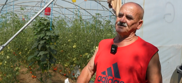 tale softic gnojnica
