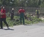 Rekonstrukcija ulaza u Lukavac: Stari drvored mijenjaju novi nasadi