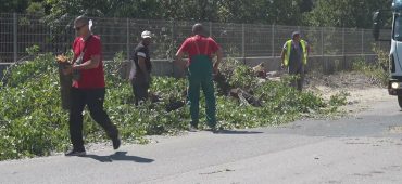 Rekonstrukcija ulaza u Lukavac: Stari drvored mijenjaju novi nasadi