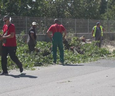 Rekonstrukcija ulaza u Lukavac: Stari drvored mijenjaju novi nasadi