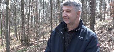 Svjetski dan šuma: Koliko šume oblikuju život?